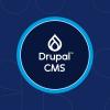 Expertos en desarrollo web con Drupal